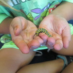 close up hands w caterpillar