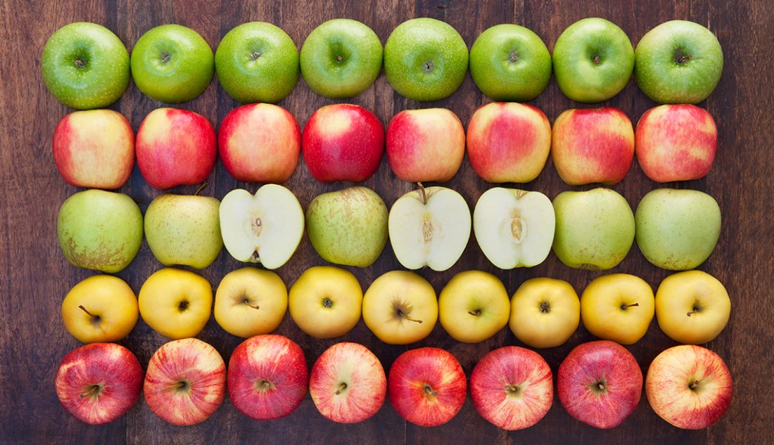 What we learned from 5 rows of apples